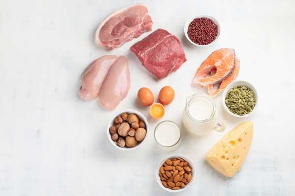 단백질 많은 음식 순위, 영양 성분, 간단 리뷰